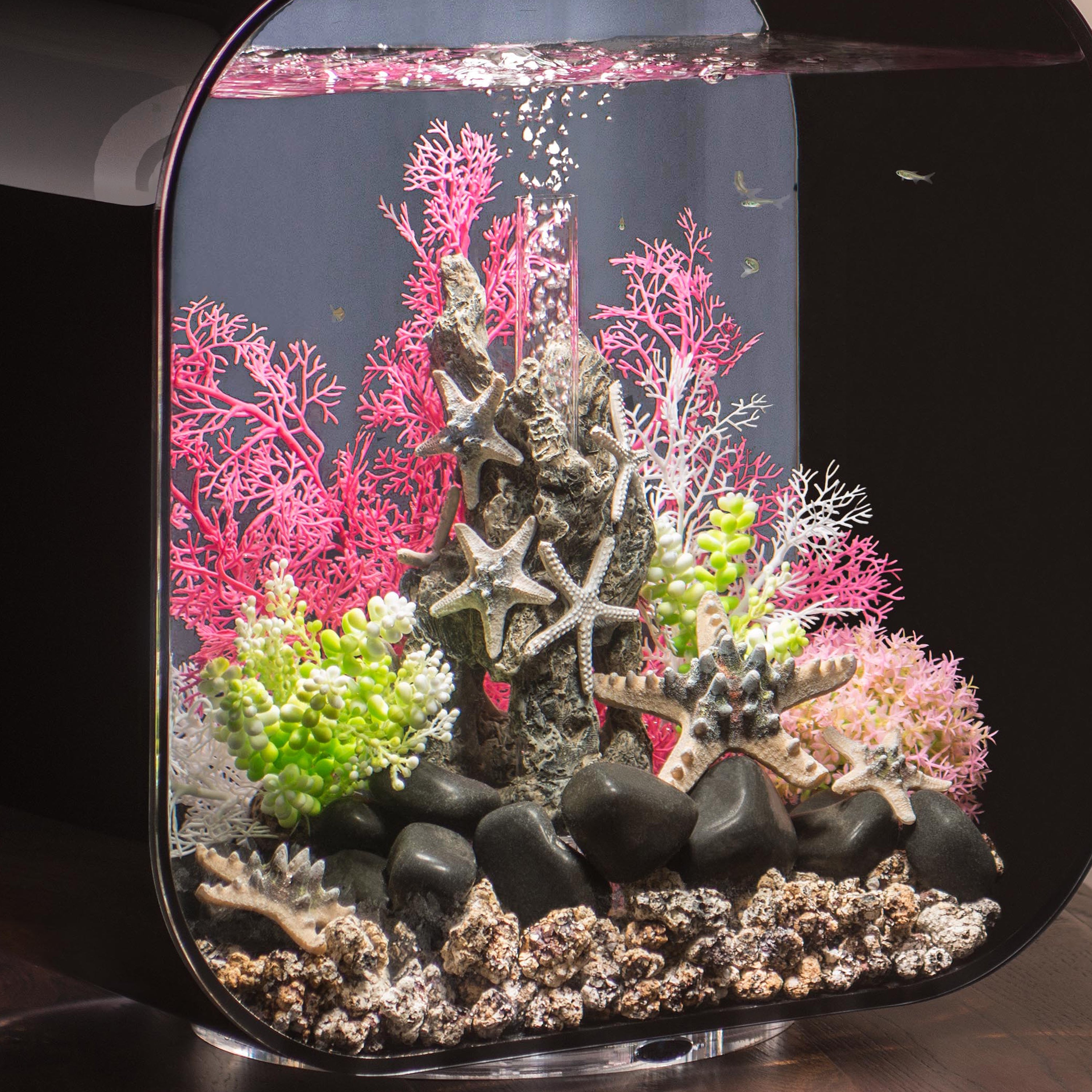 Medium Sea Fan In Use