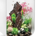 Medium Sea Fan In Use