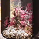 Medium Sea Fan In Use