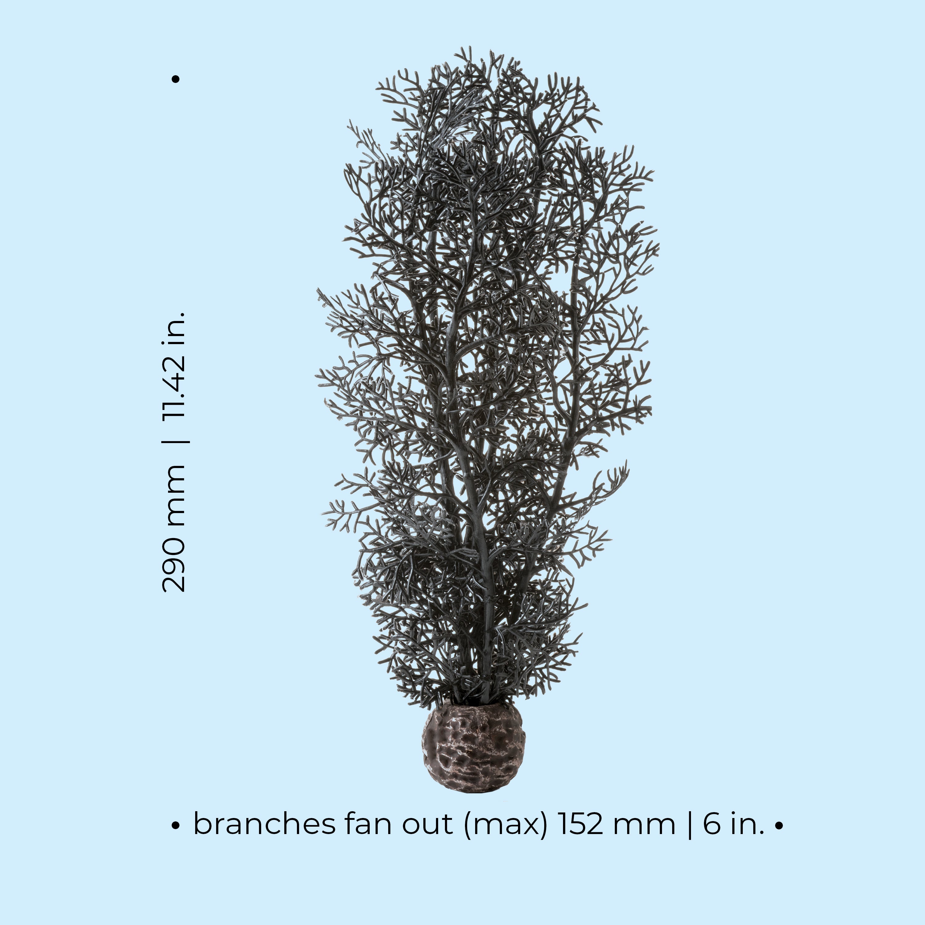 Medium Sea Fan - Dimensions