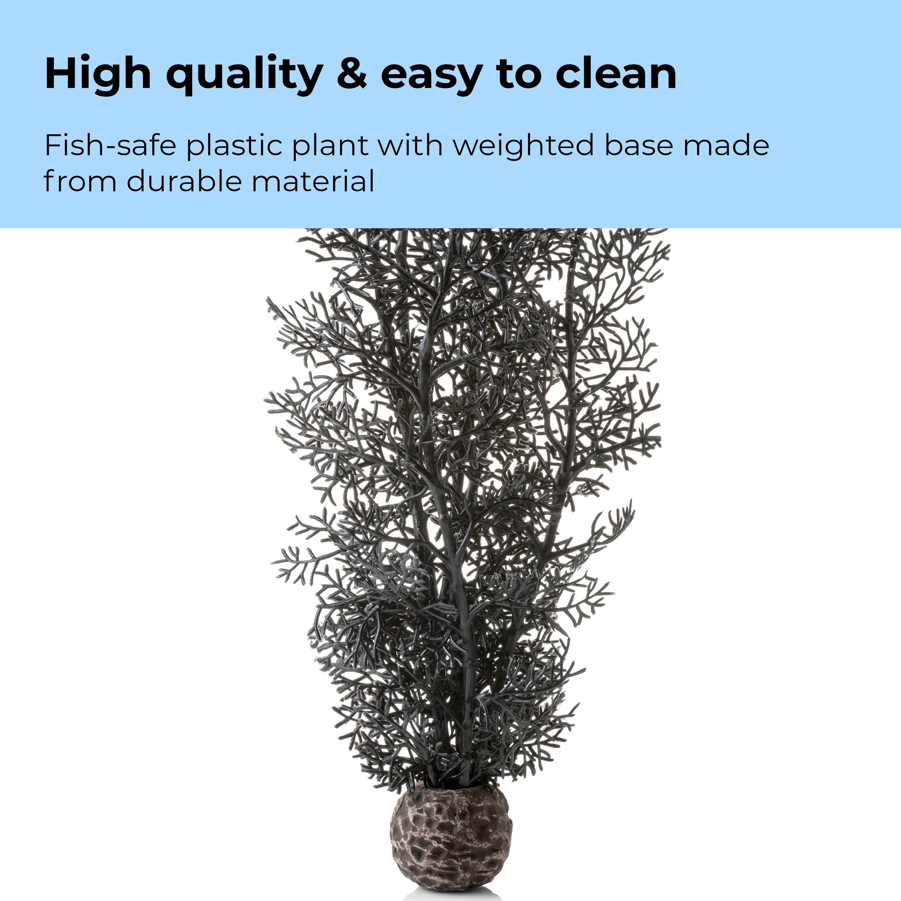 Medium Sea Fan - High quality & easy to clean