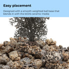 Medium Sea Fan - Easy placement