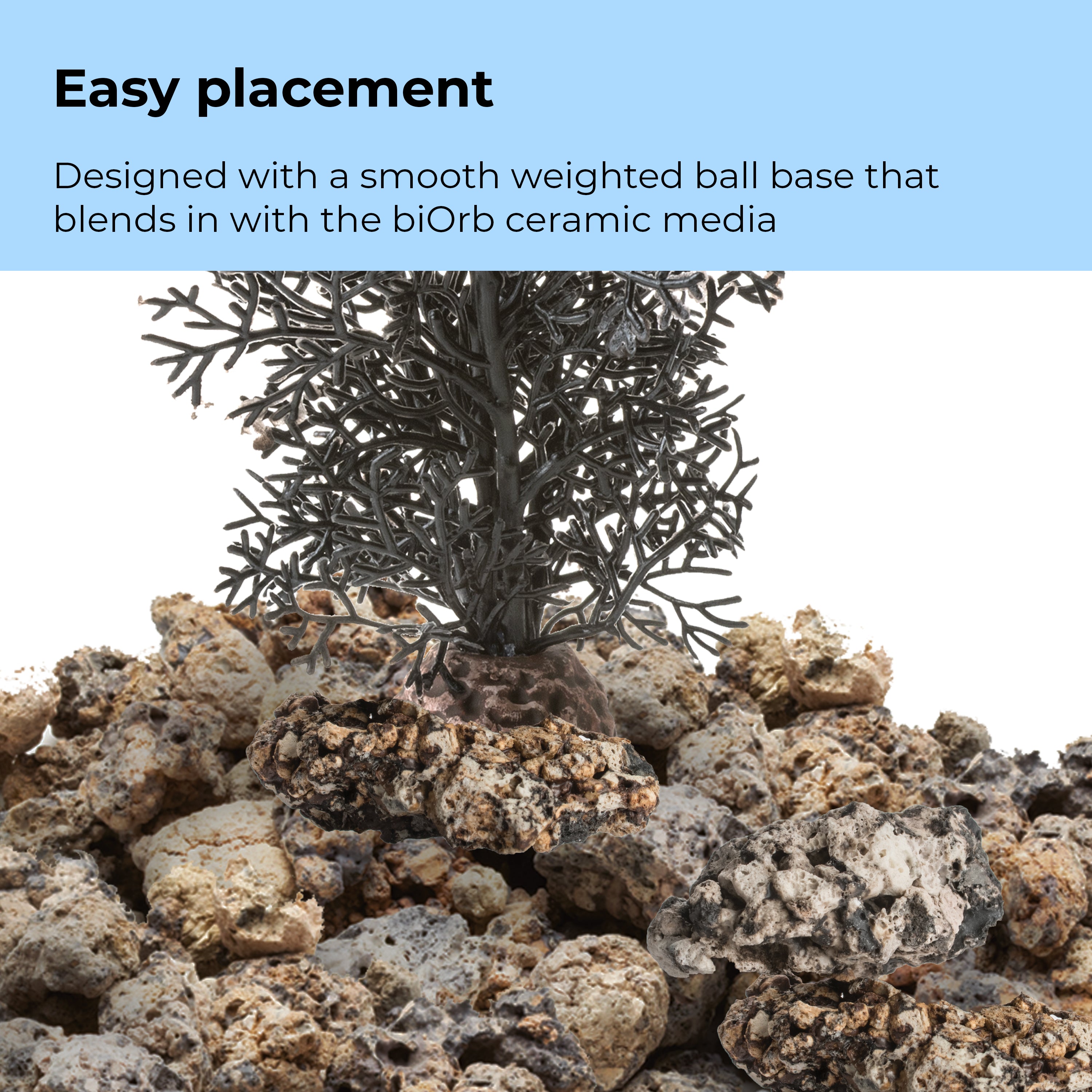 Medium Sea Fan - Easy placement