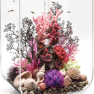 Medium Sea Fan In Use