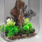 Medium Sea Fan In Use