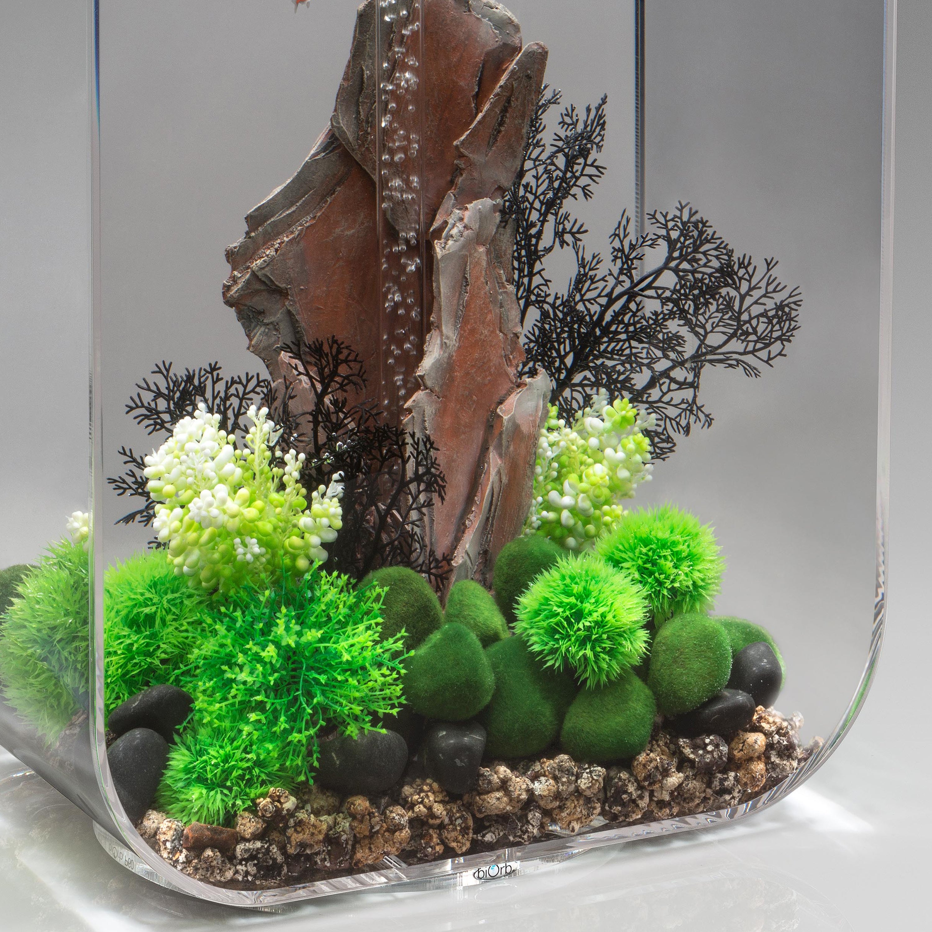 Medium Sea Fan In Use