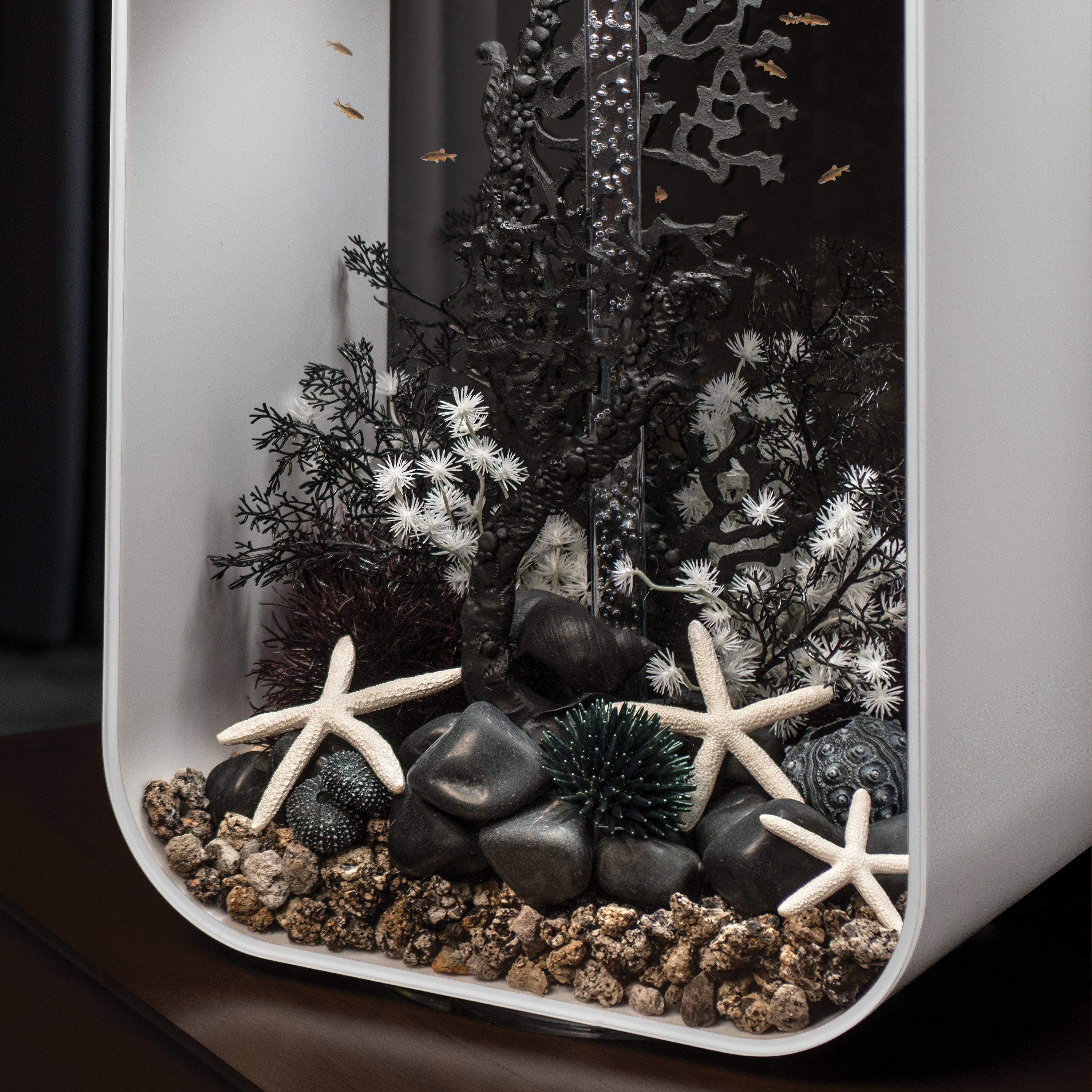 Medium Sea Fan In Use