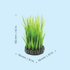 Small Green Grass Ring Dimensions