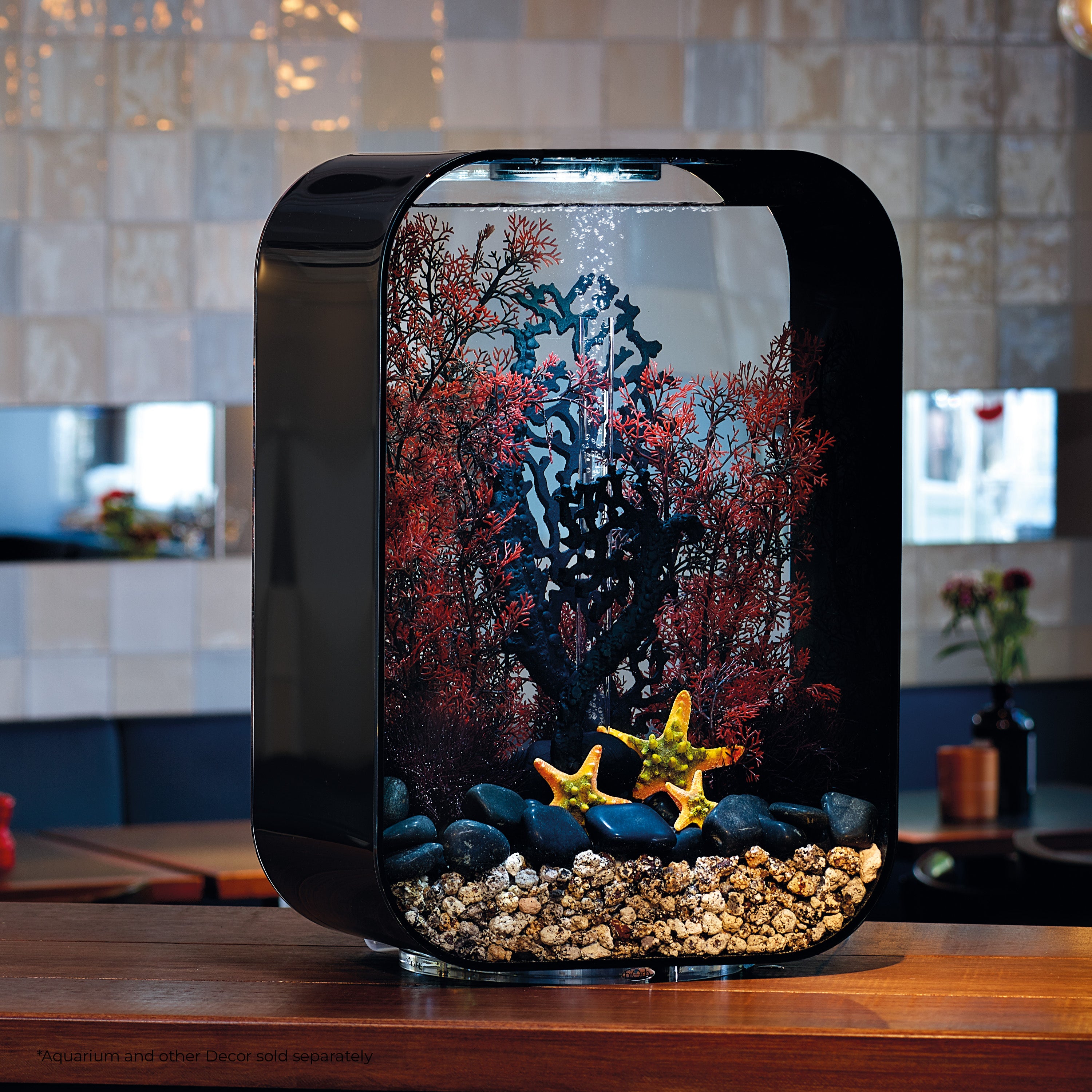 Fan Coral Sculpture In Use