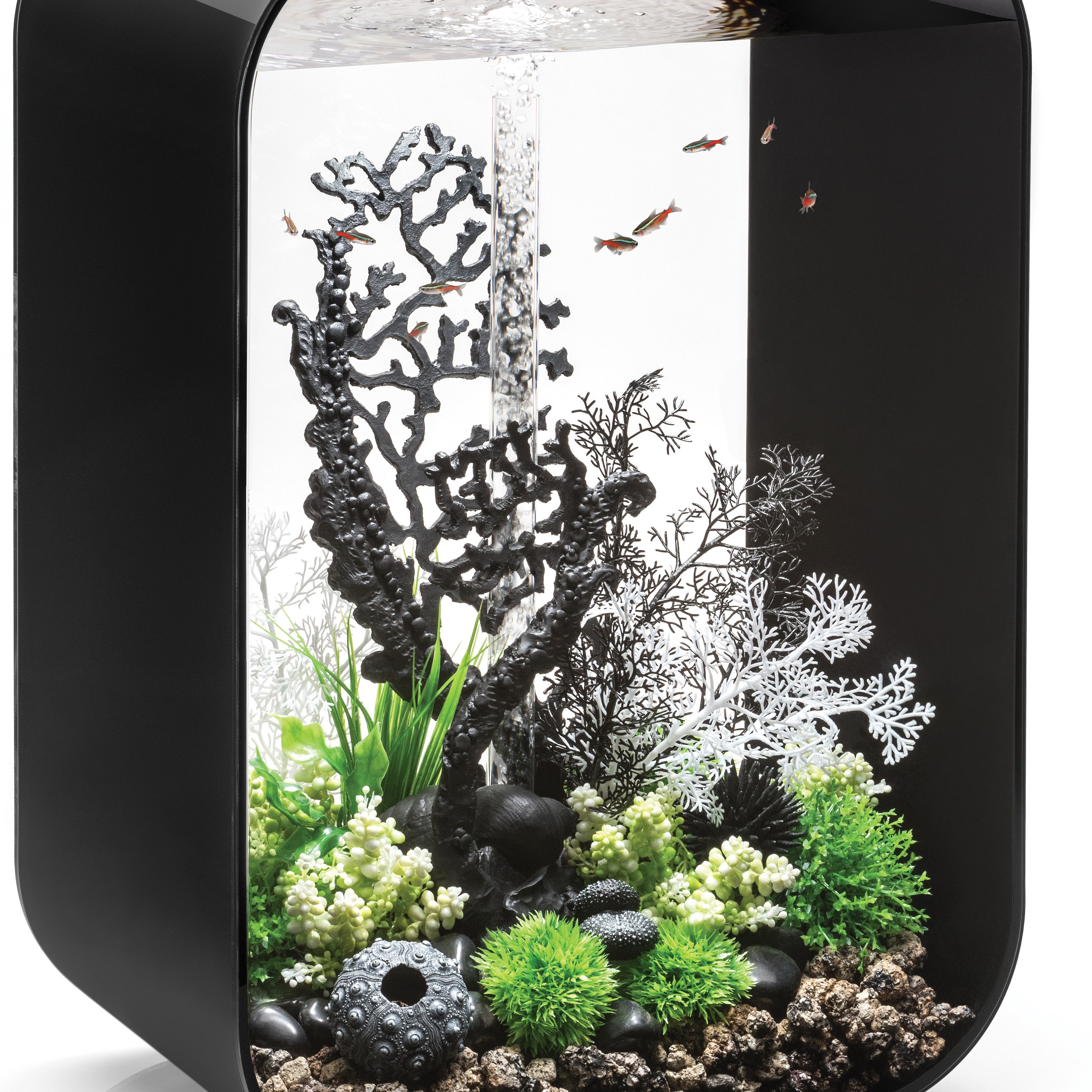 Fan Coral Sculpture In Use