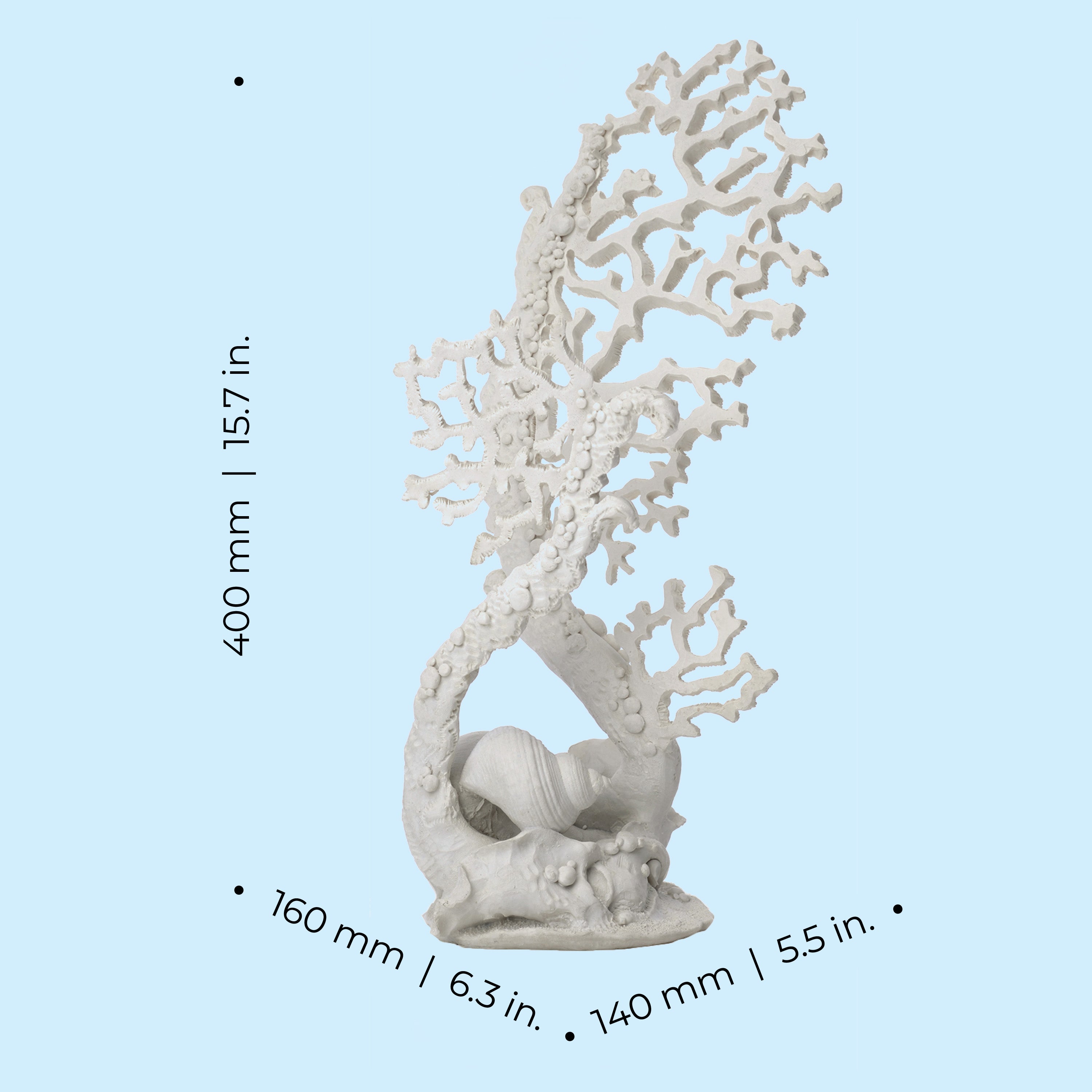 Fan Coral Sculpture - Dimensions
