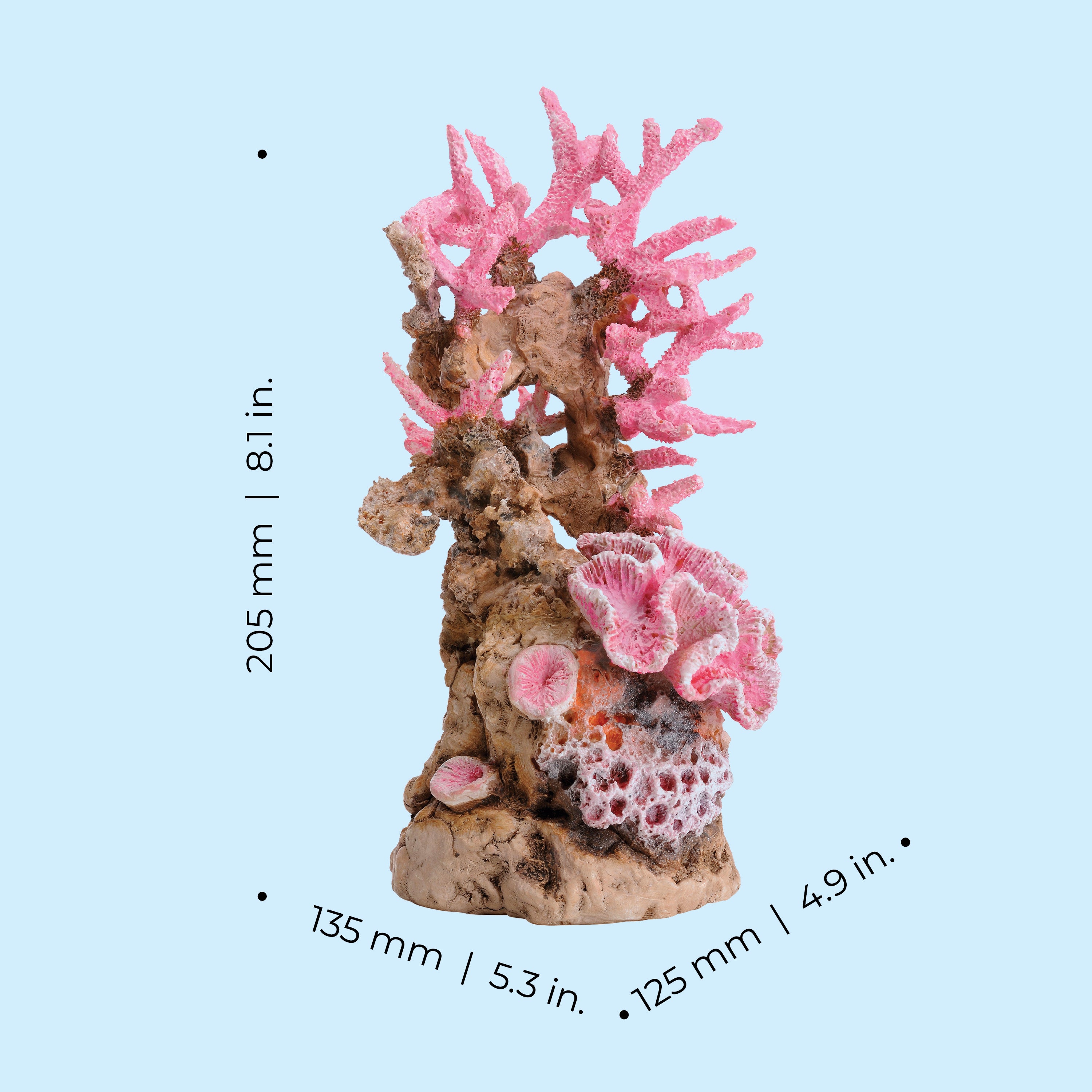 Medium Pink Reef Sculpture - Dimensions