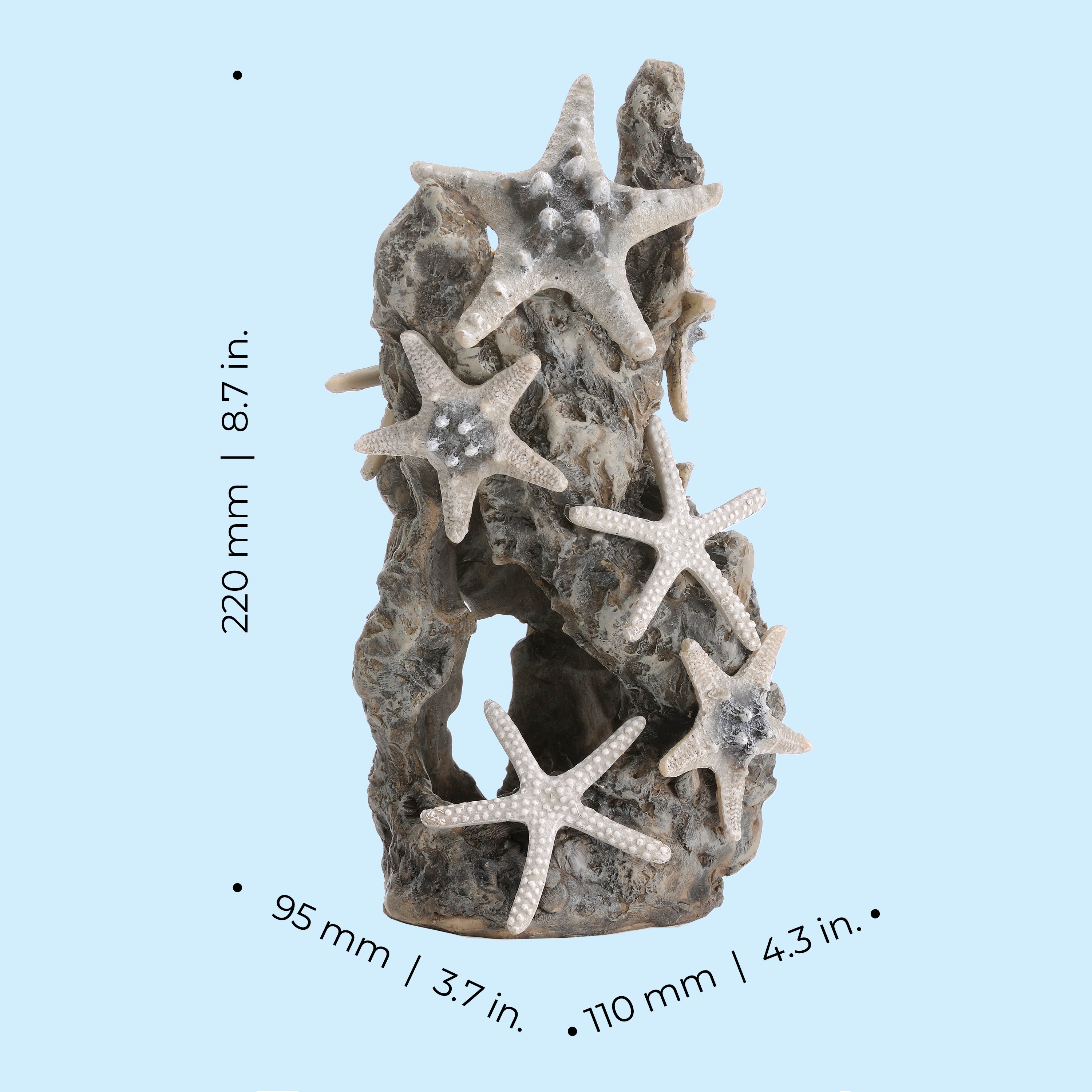 Sea Star Rock Sculpture - Dimensions