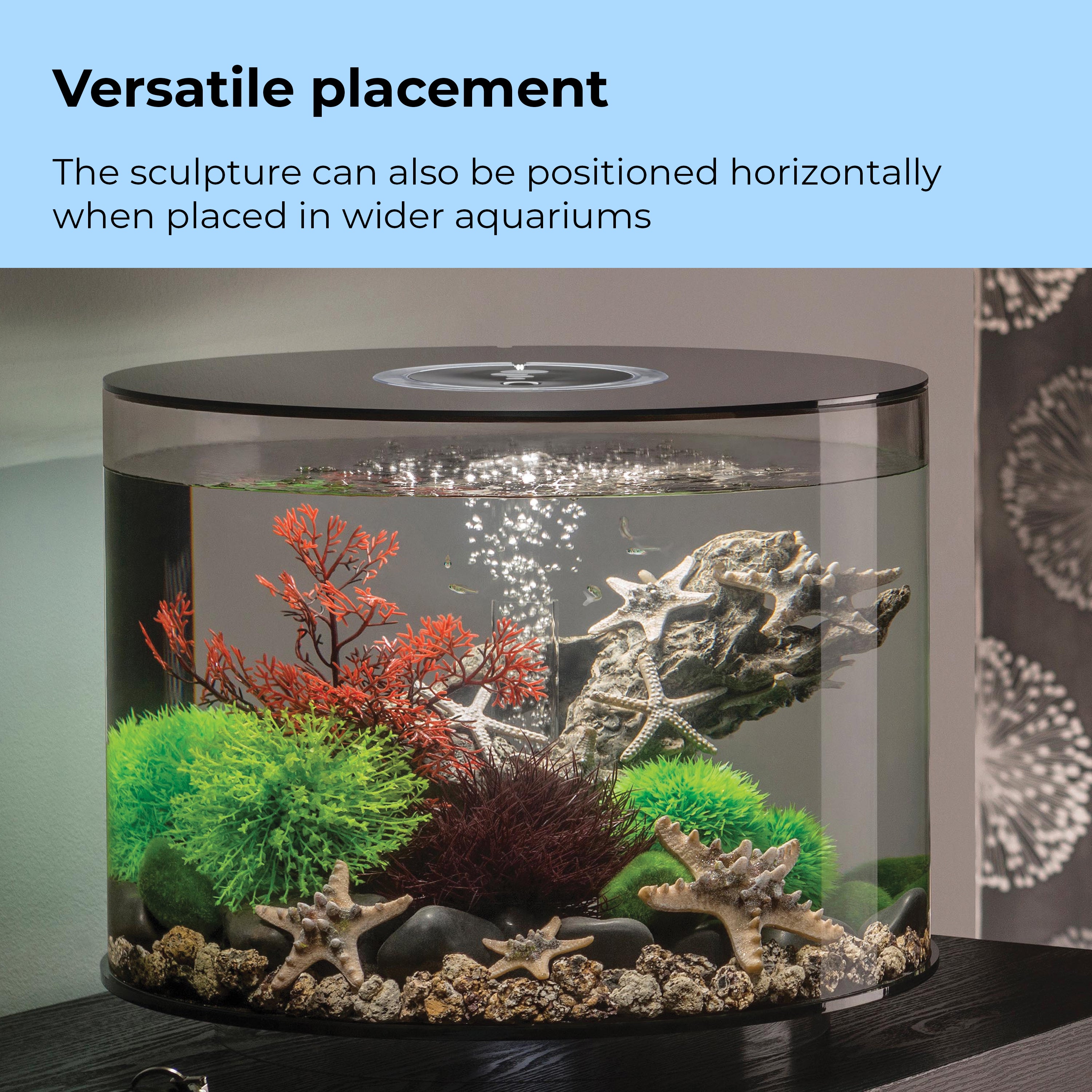 Sea Star Rock Sculpture - Versatile placement