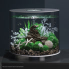 Starfish Set of 3 In Use