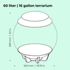 AIR 60 Terrarium - Dimensions