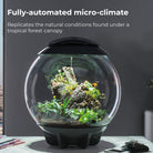 AIR 60 Terrarium - Fully-automatic micro-climate