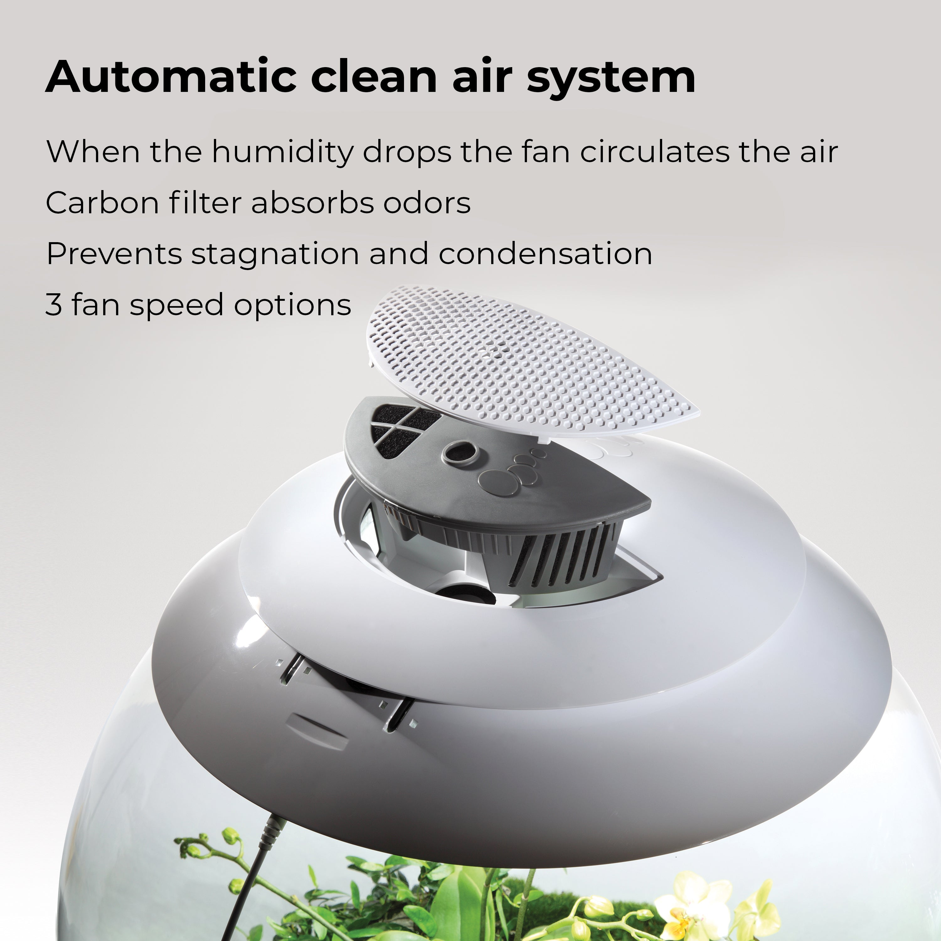 AIR 60 Terrarium - Automatic clean ait system