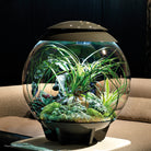 AIR 60 Terrarium - Grey In Use