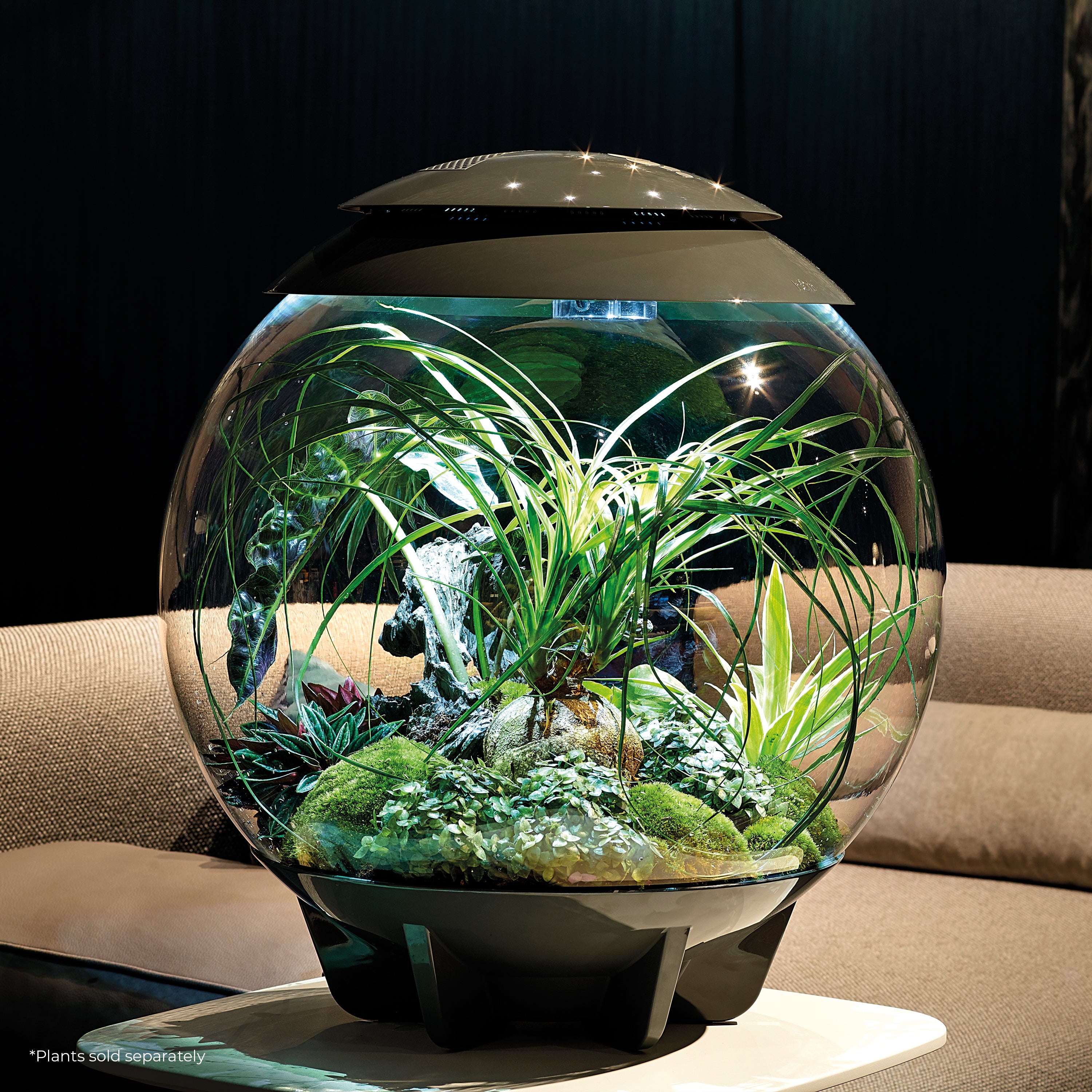 AIR 60 Terrarium - Grey In Use