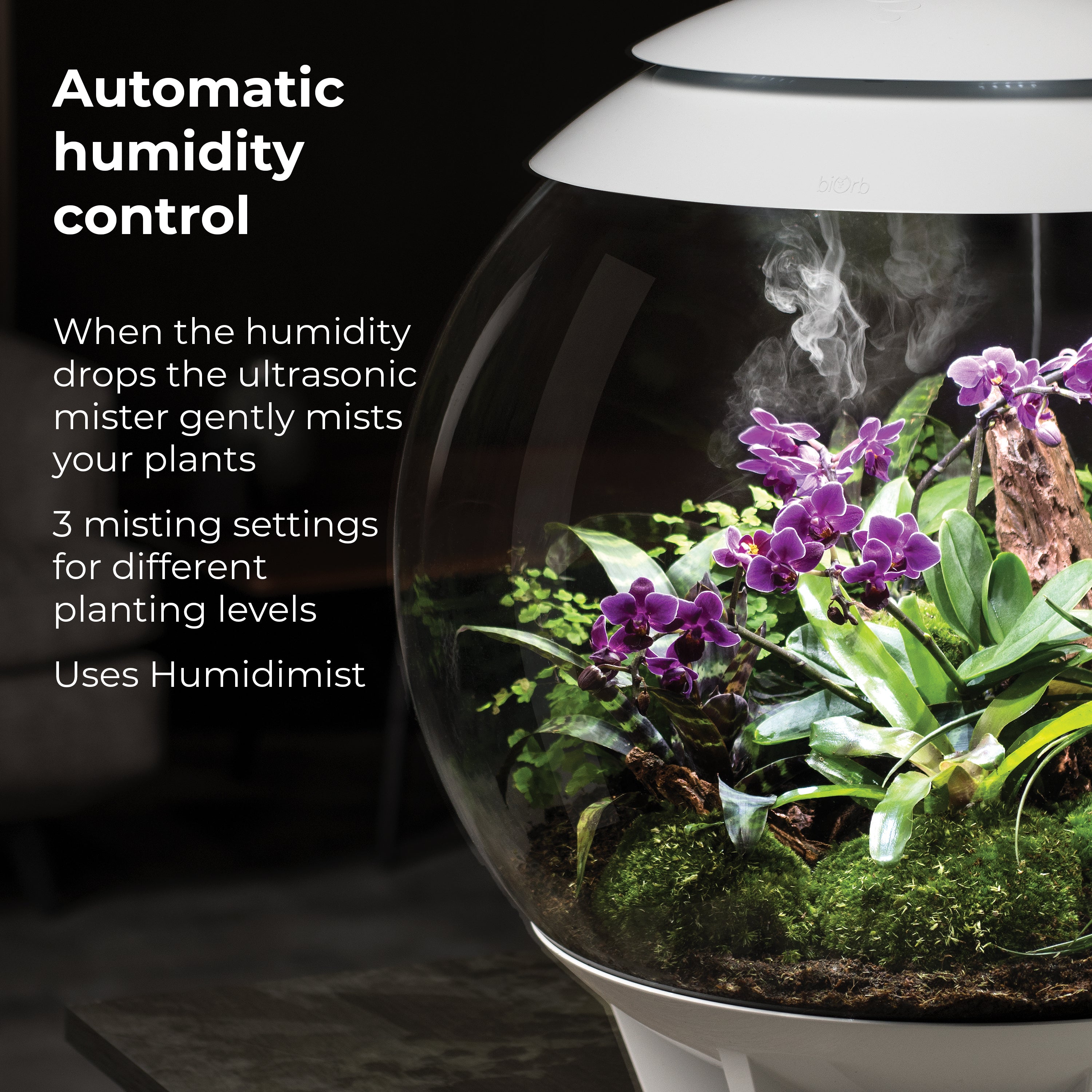 AIR 60 Terrarium - Automatic humidity control