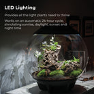 AIR 60 Terrarium - LED Lighting