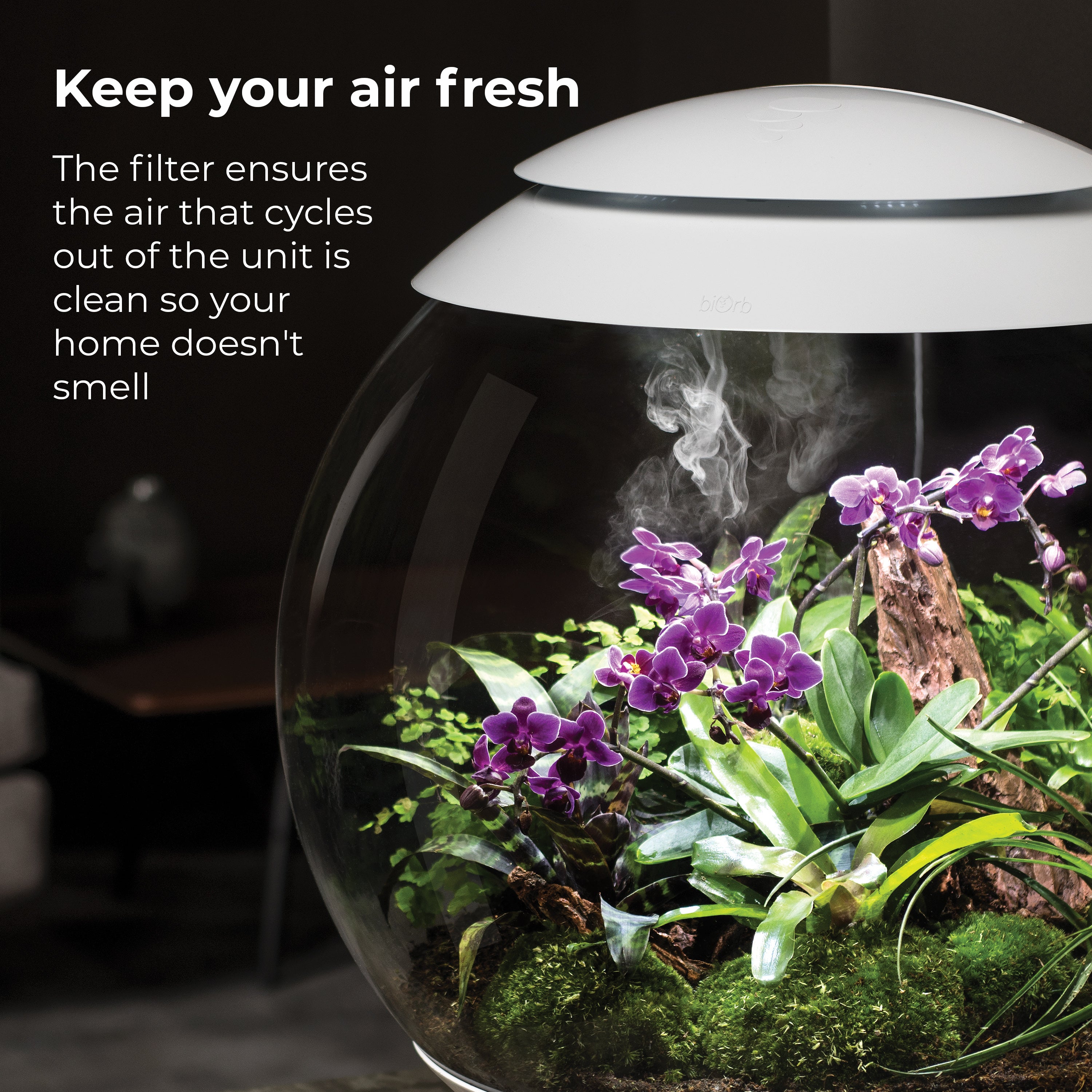 AIR 60 Filter Cartridge - Keep your air fresh