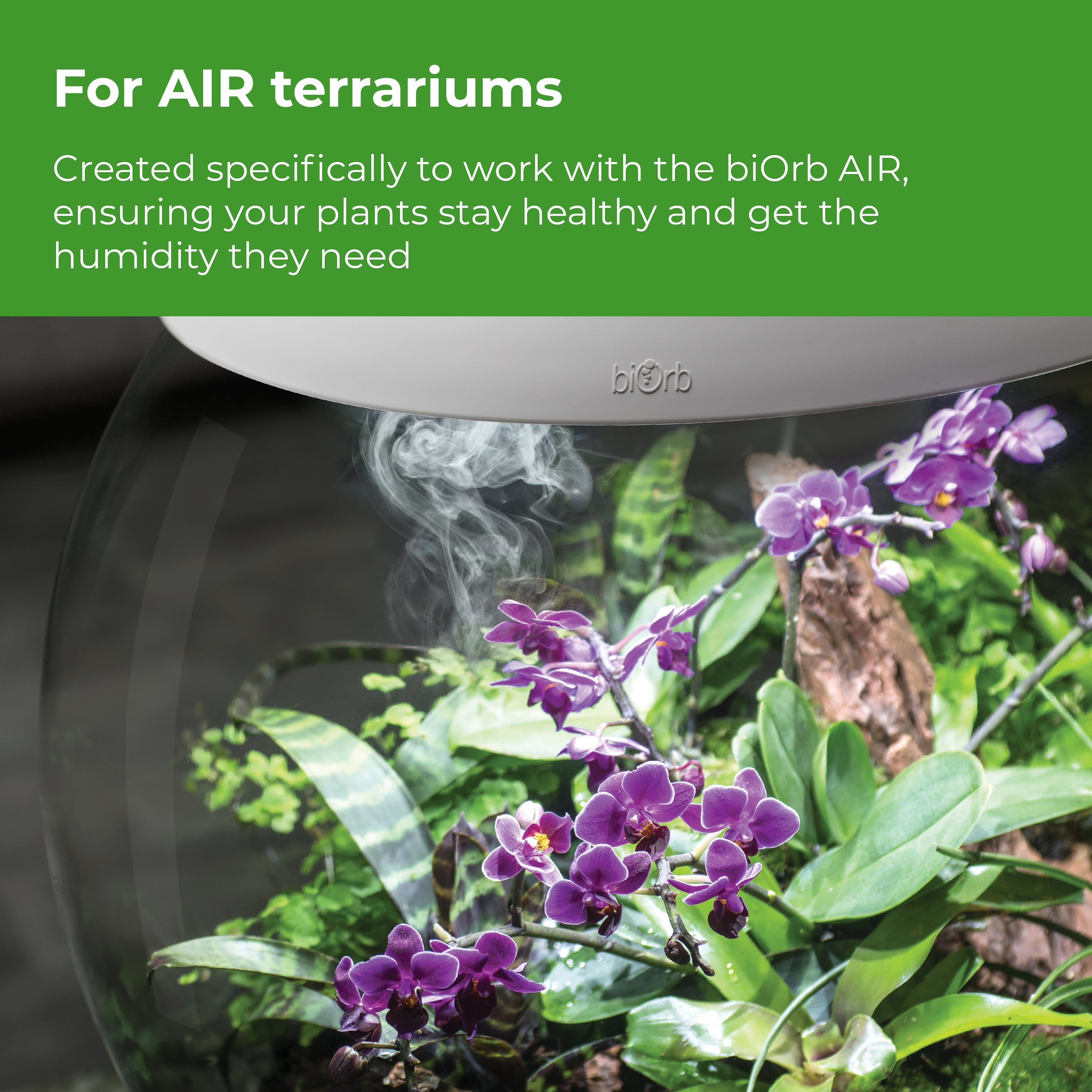Humidimist, 4 Pack - For AIR Terrariums