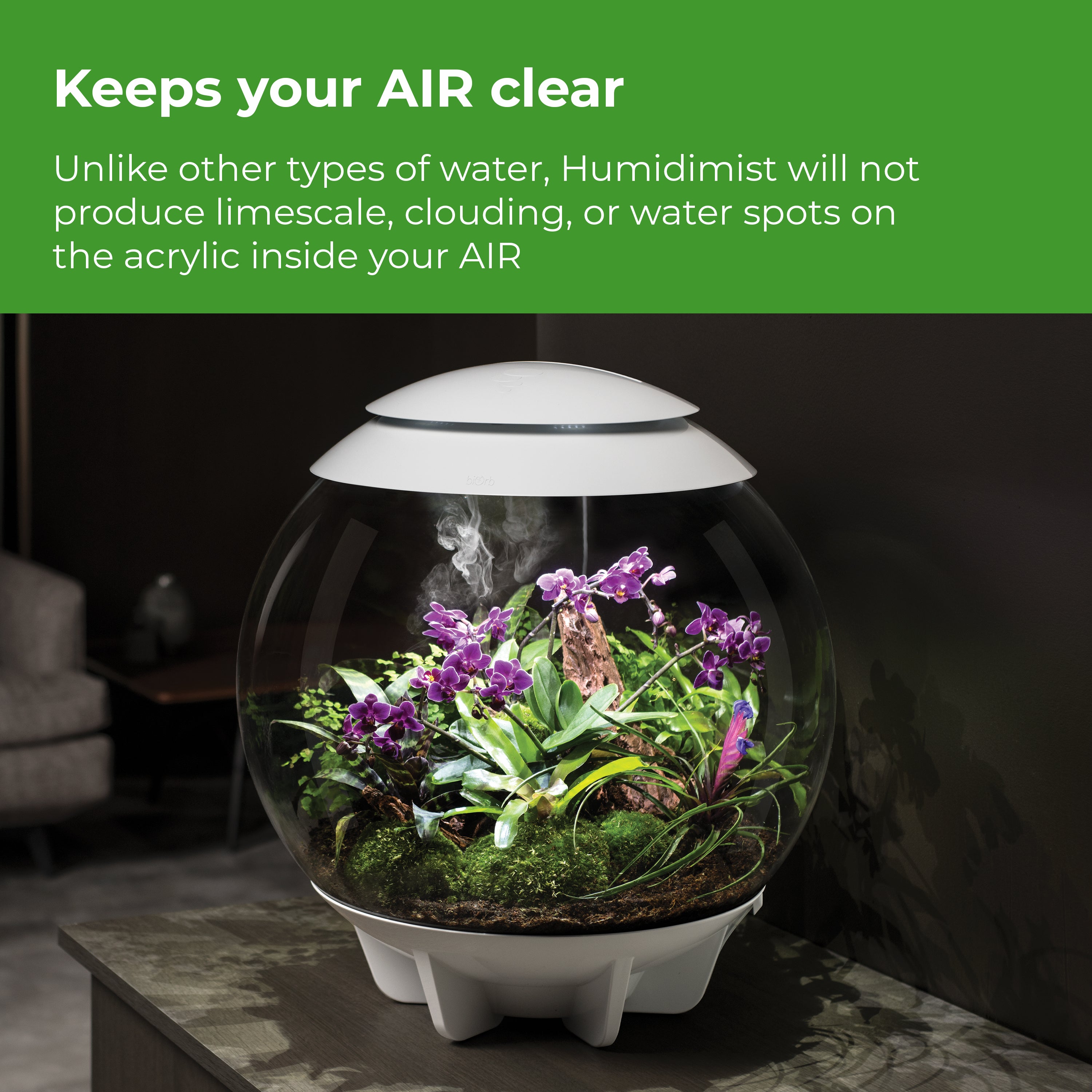 Humidimist, 4 Pack - Keeps our AIR clear
