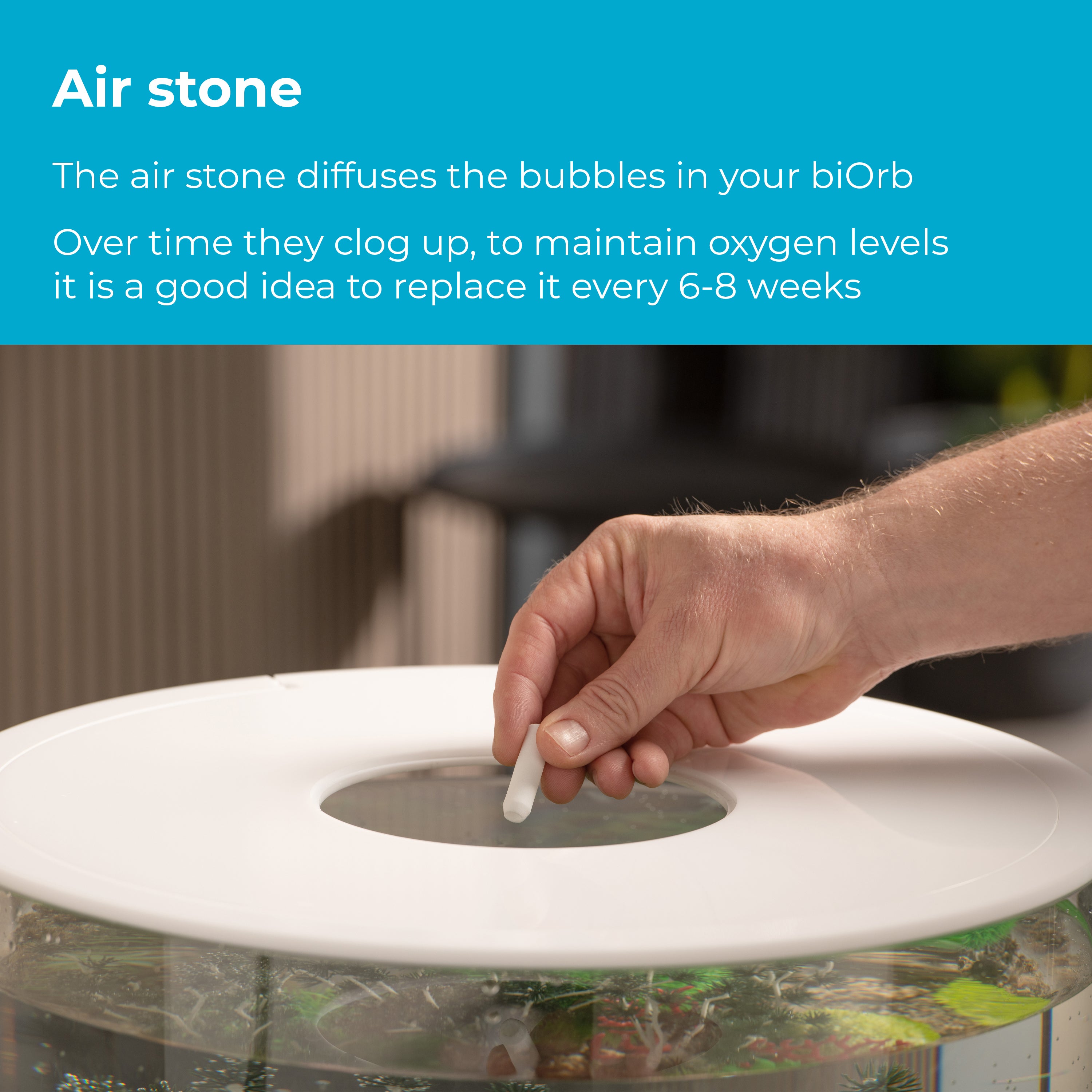 Maintenance Kit - Air Stone