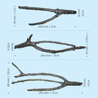 Amazonas Elements - Dimensions