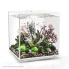 Medium Amazonas Root Sculpture In Use