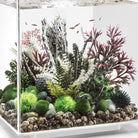 Medium Amazonas Root Sculpture In Use