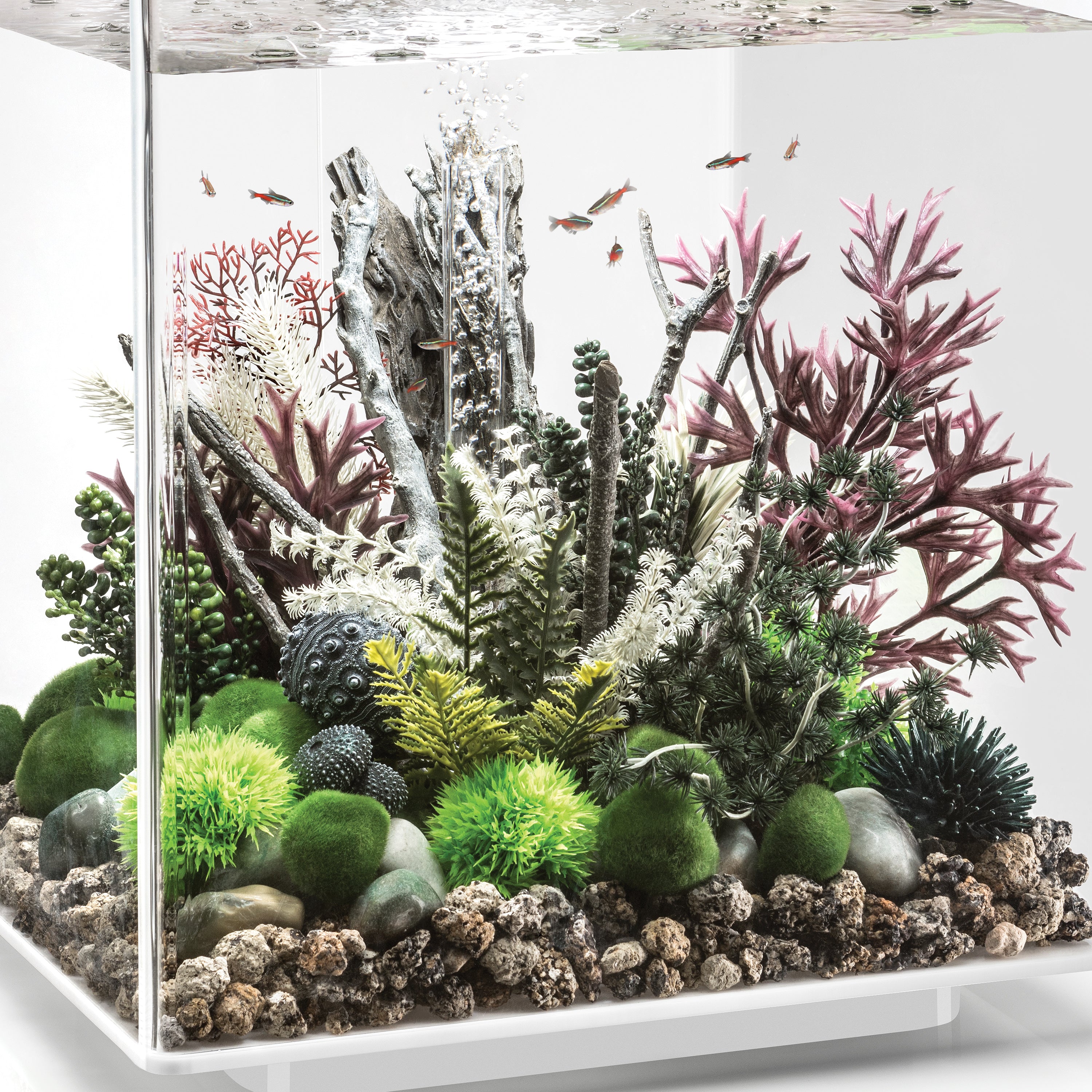 Medium Amazonas Root Sculpture In Use