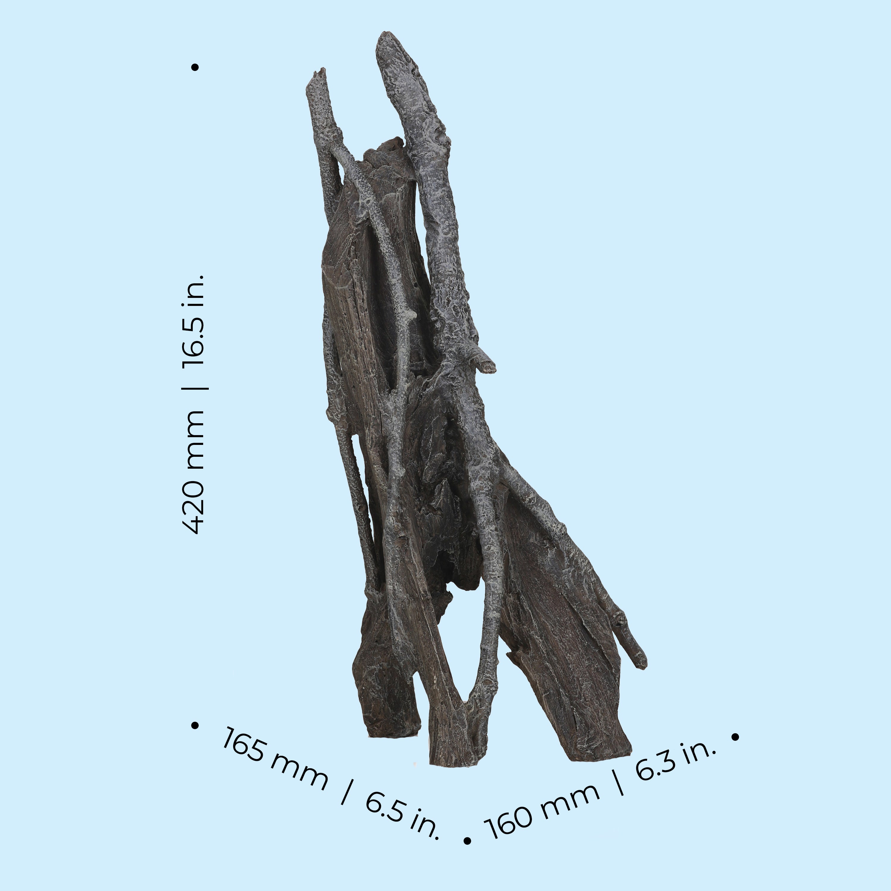 Large Amazonas Root Sculpture - Dimensions