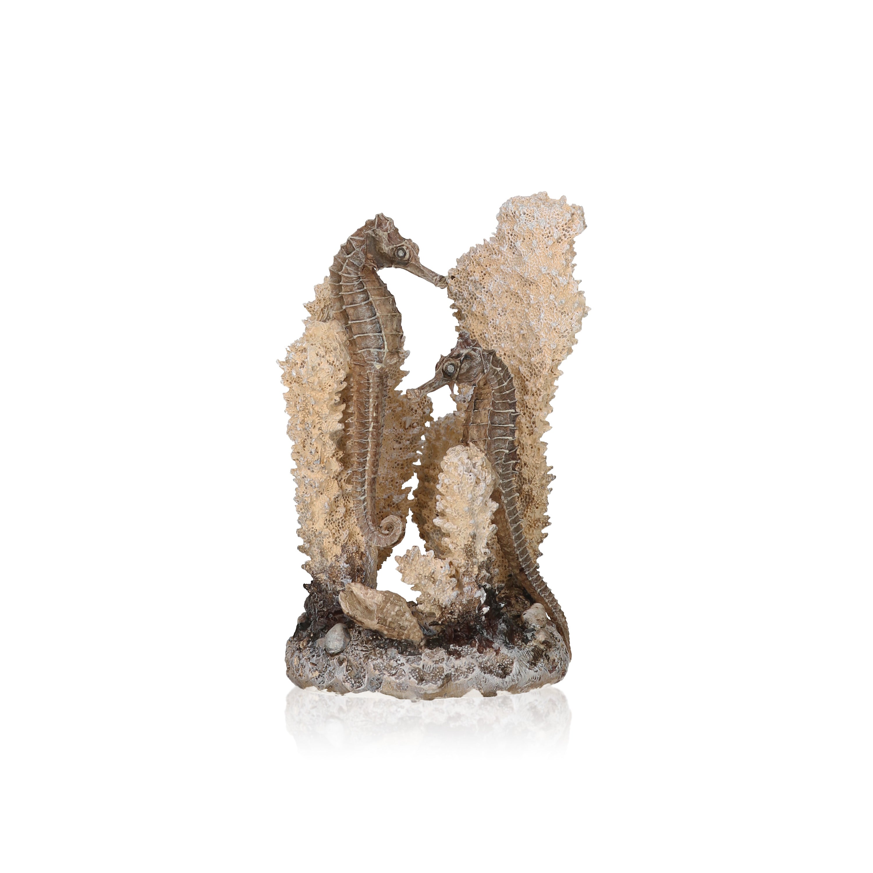 Small Seahorses on Coral Sculpture