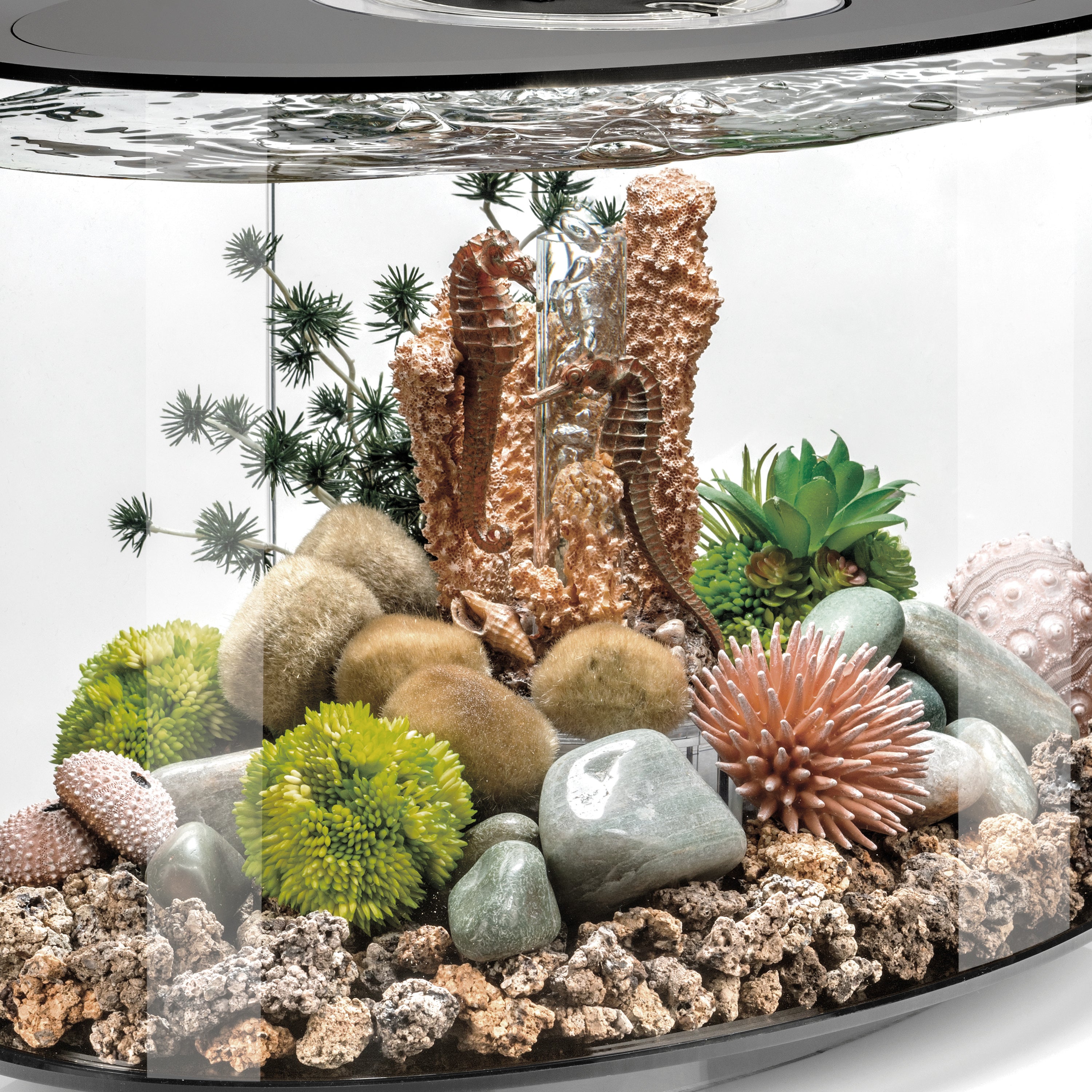 Small Seahorses on Coral Sculpture In Use