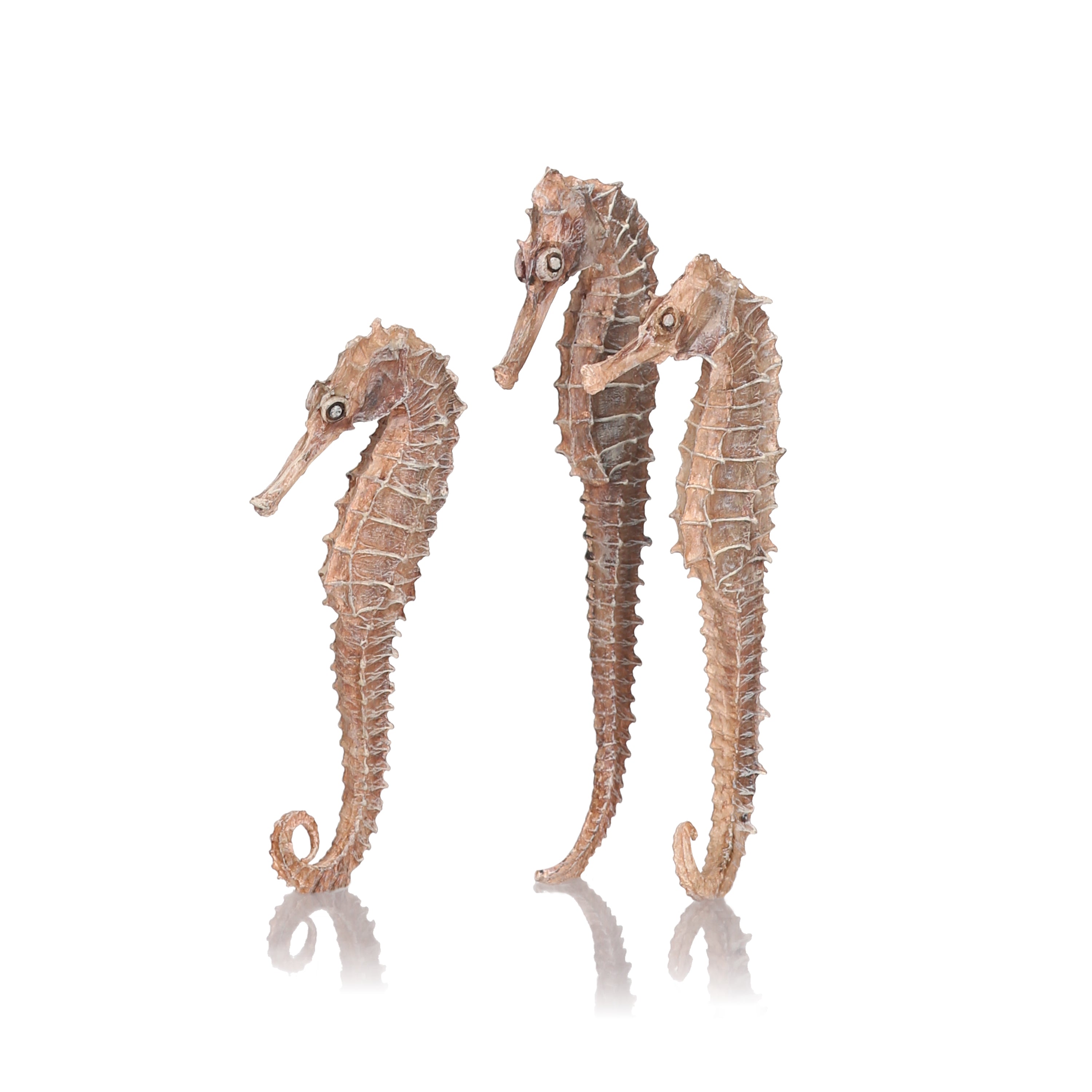 Seahorse Set of 3 -  Natural