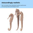 Seahorse Set of 3 - Astoundingly realistic