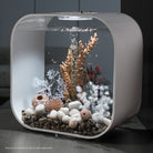 Seahorse Set of 3 In use