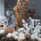 Seahorse Set of 3 - In use
