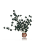 Bonsai Ball - Black