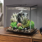 Small Grey & Green Ambulia Plant Set of 2 In Use