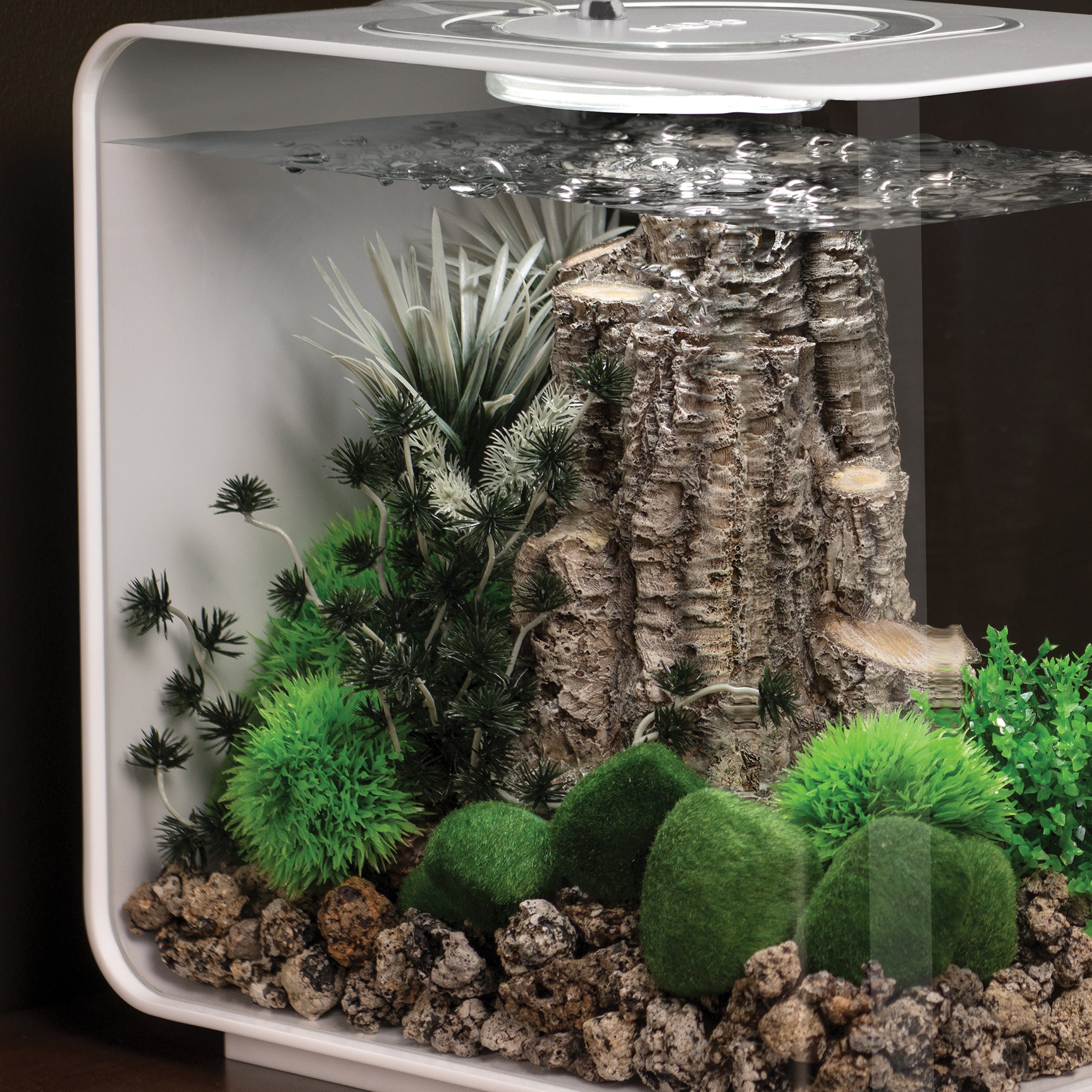 Small Grey & Green Ambulia Plant Set of 2 In Use