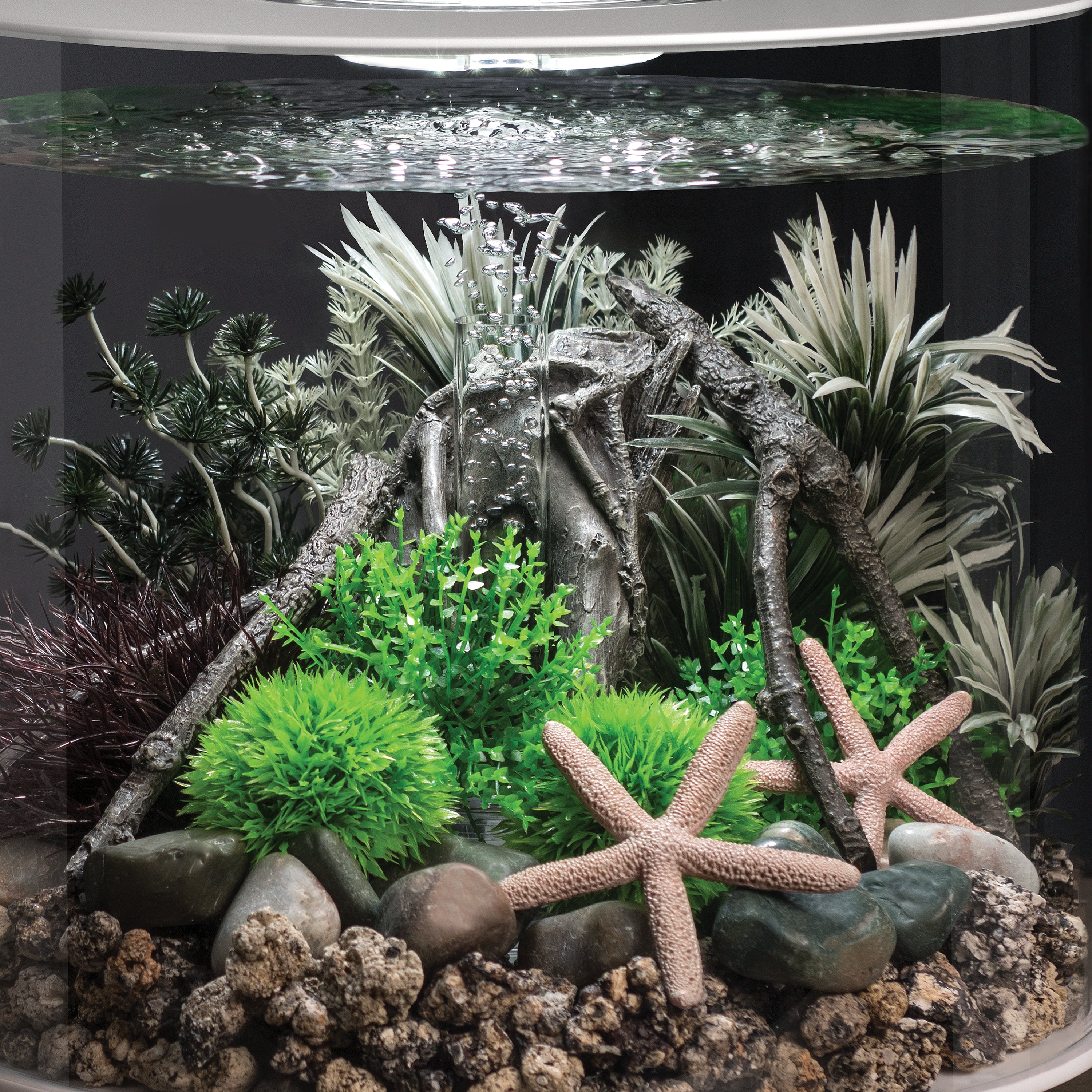 Small Grey & Green Ambulia Plant Set of 2 In Use