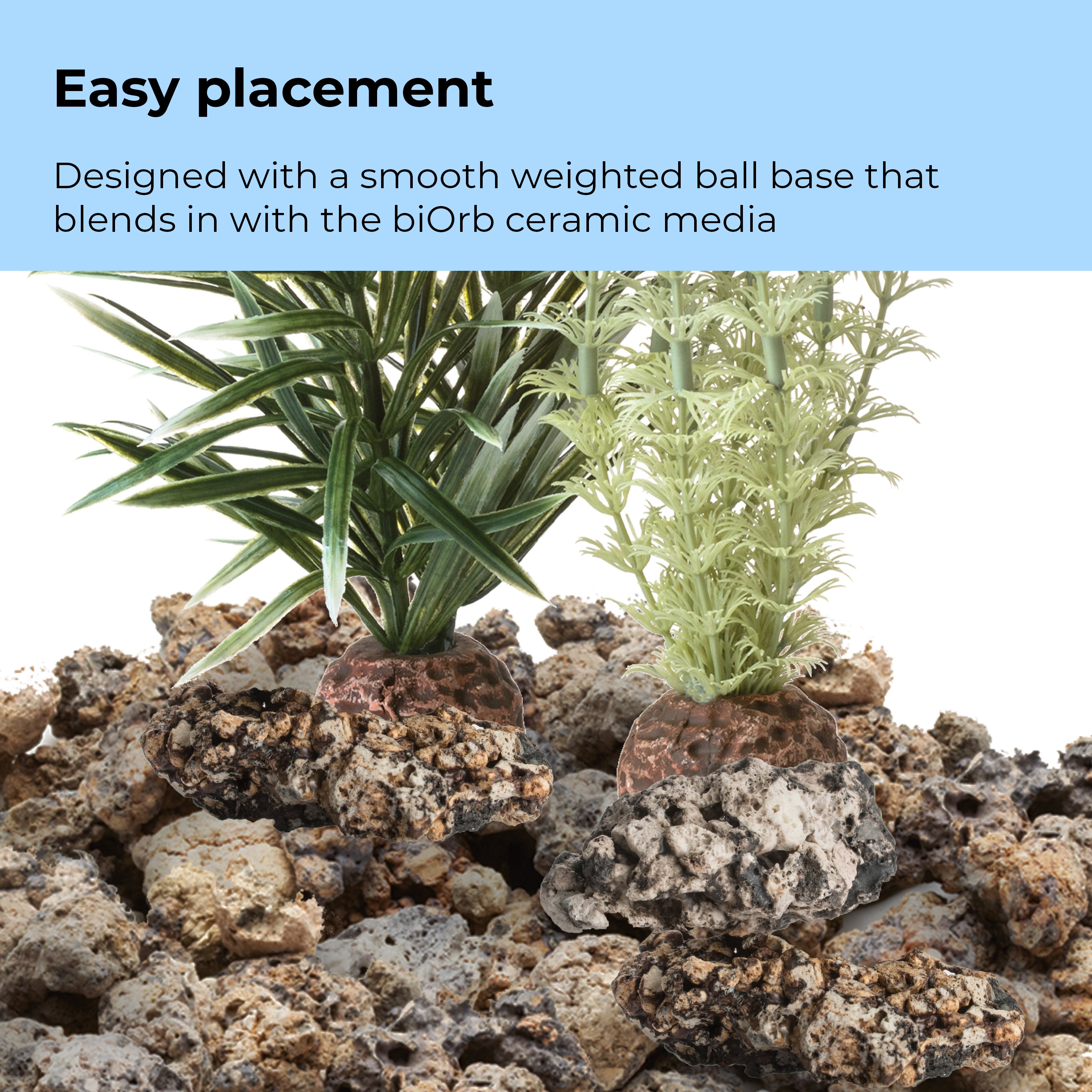 Medium Grey & Green Ambulia Plant Set of 2 - Easy placement
