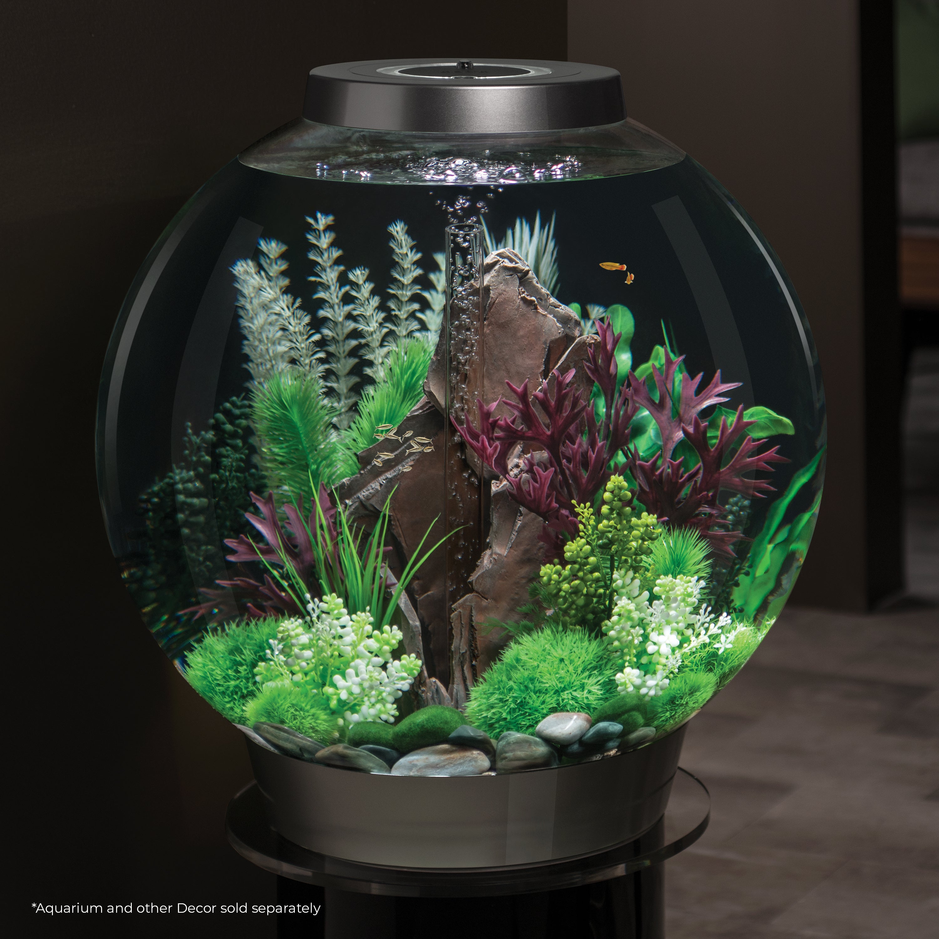 Large Grey & Green Ambulia Plant Set of 2 - In Use