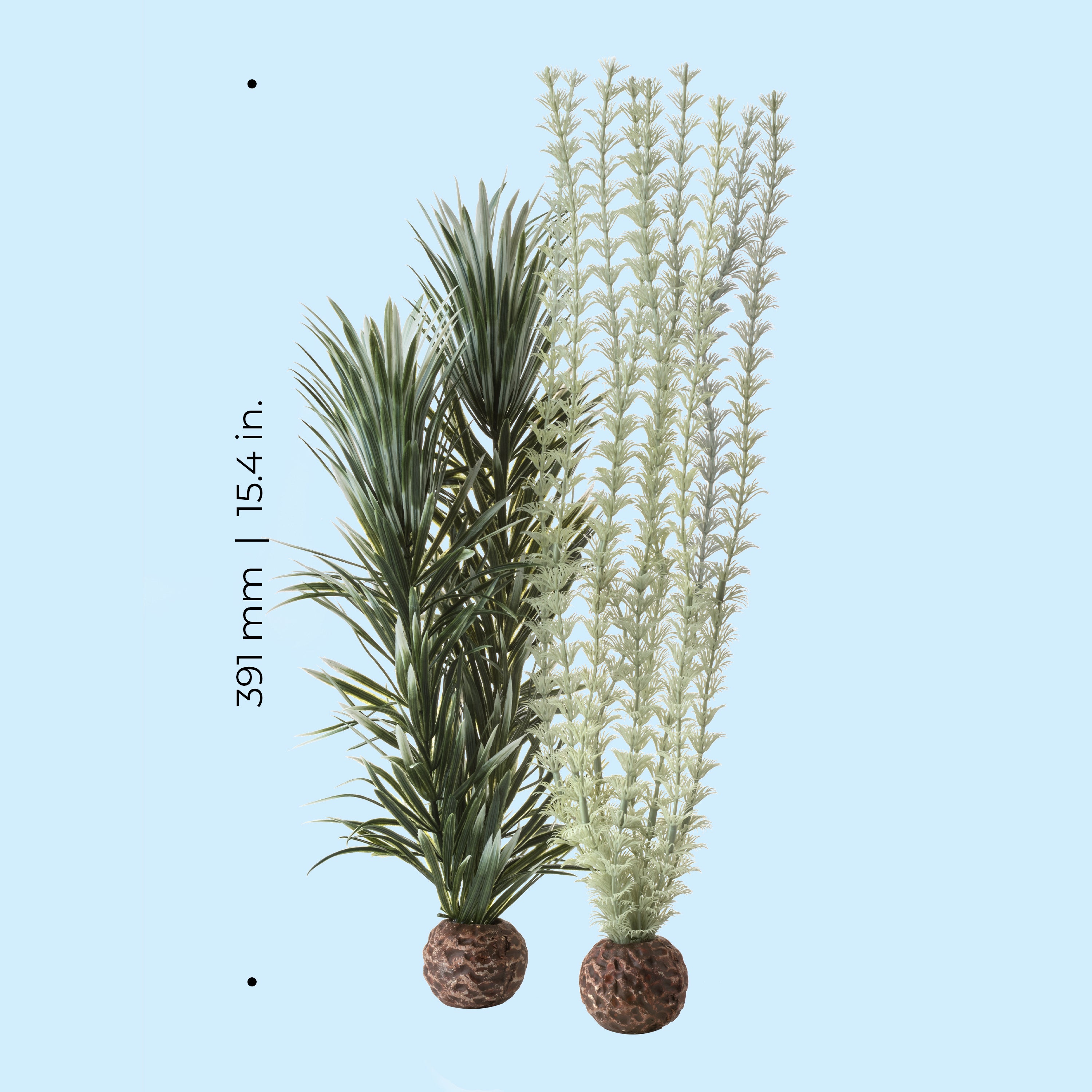 Large Grey & Green Ambulia Plant Set of 2 - Dimensions