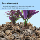 Small Parrot Feather Plant Set of 2 - Easy placement