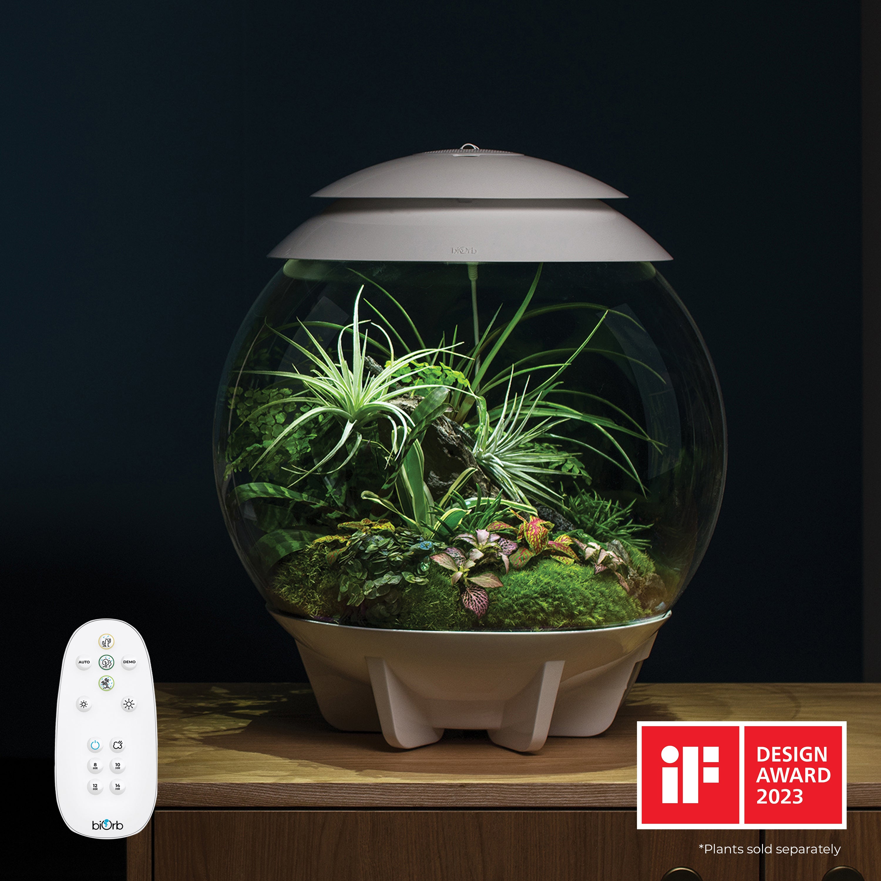 AIR 30 Terrarium - In Use
